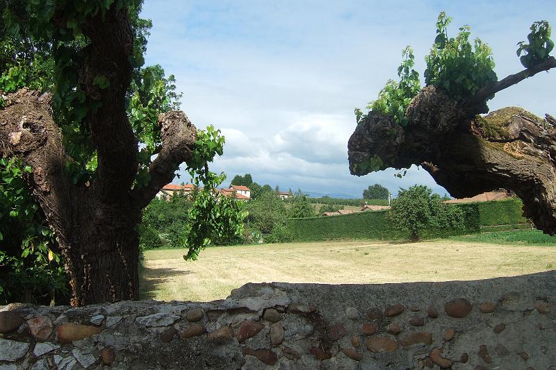 2011-05- (662).JPG